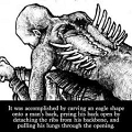 Daddy_BackInjury_7-2021 (6)